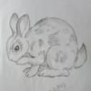 Rabbit sketch by Sheli Dey
