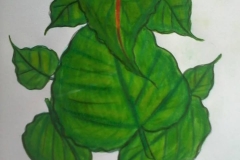 29572277_576787766025338_2659427983953265548_n