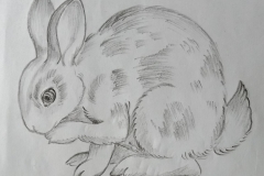 IMG_20180722_132721-3